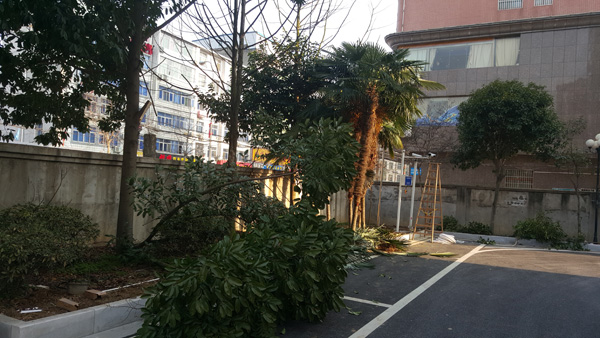 布線案例